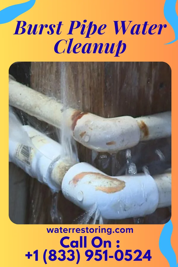 Burst Pipe Water Cleanup in Corinth, MS