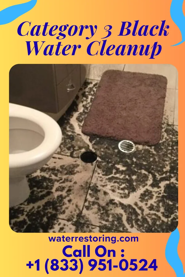 Category 3 Black Water Cleanup in Corinth, MS